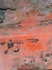 Нефаз 8602-10 2006 года выпуска. Полуприцеп-цистерна, цвет оранжевый. VIN: X1F86020060000746, государственный номер: АС269886, номер кузова: X1F86020060000746. Имущество в залоге. Согласно акту осмотра и фотографиям, имеет множественные сколы и местами коррозию.