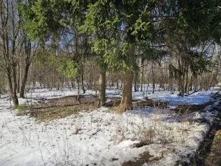 Право заключения договора аренды земельного участка по адресу: г. Москва, г. Зеленоград, пос. Малино, пересечение ул. Малинская и ул. Школьная, площадью 3422 кв. м, кадастровый номер: 77:10:0007001:3606 Право заключения договора аренды земельного участка по адресу: г. Москва, г. Зеленоград, пос…