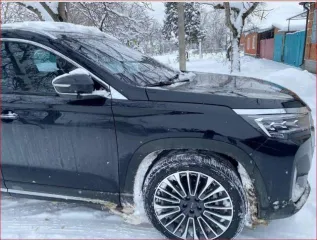 Jetour X90 PLUS 2023 года, 190 лс, АКПП, транспортное средство – легковой автомобиль марка/модель – Jetour X90 PLUS, год выпуска – 2023, VIN – HJRPBGGBXPF116818.