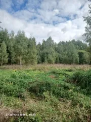 Земельный участок КН 50:06:0050701:1460, 1545 кв.м, Московская область. Площадь земельного участка: 1545 Кадастровый номер земельного участка: 50:06:0050701:1460 Основной вид разрешенного использования: 2.1