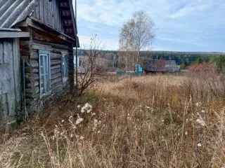 Жилой дом, кадастровый номер: 59:26:1010101:101, площадь: 56,4 кв.м, адрес  местонахождение : Российская Федерация, край Пермский, городской округ Нытвенский, деревня Гуслята, улица Центральная, дом 4.