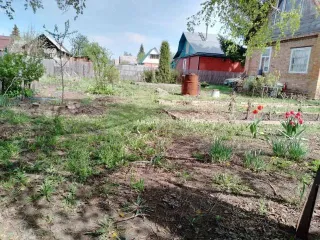 Земельный участок 515 кв.м с кирпичным домом 39 кв.м, Омская область. Земельный участок для садоводства, площадь 515 +/- 8 кв.м., кадастровый номер 55:36:190506:10, расположенный по адресу: Омская область, г. Омск, СНТ Станционник-1, кч. 519, собственность с 15.04.2025. На участке расположен…
