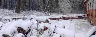 Сооружение с кадастровым номером 33:14:002605:220 по адресу Российская Федерация, Владимирская область, р-н Гусь-Хрустальный, МО поселок Золотково (сельское поселение), с Черсево, д 158/2. Вид ограничений и обременений: не установлены. Количество этажей: -.