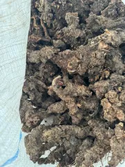 Родиола розовая общий вес 49,8 кг