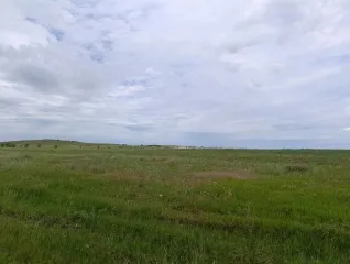 Право аренды земельного участка с кадастровым номером 90:07:150401:359 площадью 143367 кв. м категории земли сельскохозяйственного назначения с видом разрешенного использования выращивание зерновых и иных сельскохозяйственных культур расположенного по адресу Республика Крым р-н Ленинский…