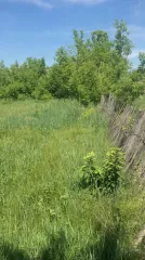 Земельный участок 625 кв. м. Кадастровый номер: 02:27:070201:128. Для ведения личного подсобного хозяйства. Адрес: Республика Башкортостан, р-н. Илишевский, с/с. Исаметовский, д. Турачи, ул. Авеште, д. 8.