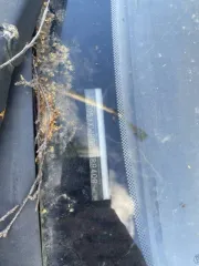 Ford Focus 2007, VIN: WF05XXWPD57J89408, госномер: К898ТК29, 2007 год выпуска.