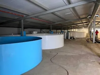 Строительство фермы по выращиванию форели по адресу д. Мещеряково Промпарк «Буинск» Буинского муниципального района, кадастровый номер 16:14:140102:762, общая площадь 1 432,0 кв.м. (в залоге АО «Татагролизинг»); Административное здание, кадастровый номер 16:14:140102:763, общая площадь 57,4 кв.м…