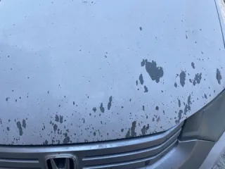 Honda Insight Hybrid 2009 года выпуска. Номер кузова ZE2-1106399, регистрационный знак Н907ТА125. Ознакомление с автомобилем и документами производится по предварительной договоренности по телефону +7-914-702-24-34 или по запросу на zenitdv@mail.ru.