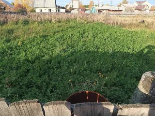 Земельный участок 1200 кв.м, Иркутская обл., Братский р-н, п. Зяба, ул. Майская, д. 6. Назначение: земли населённых пунктов. Кадастровый номер: 38:02:040401:37. Находится в совместной собственности.