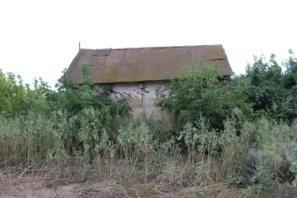 Земельный участок 2665 кв.м с постройками в Воронежской области, Бобровский район, село Шестаково, улица Набережная, дом 59. В состав входят: земельный участок площадью 2665 кв.м; конюшня площадью 54,6 кв.м; сарай площадью 19,5 кв.м; сарай площадью 91,4 кв.м; сарай площадью 26,8 кв.м; контора…