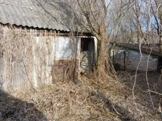 Доля 46/48 жилого дома, площадь 48.3 кв.м., назначение: жилое, адрес (местонахождение): Россия, Воронежская область, р-н Острогожский, х Дубовой, ул Зелёная аллея, 6, кадастровый (условный) номер: 36:19:1100001:88 и доля 46/48 земельного участка, площадь 4300 кв.м., назначение: Земли населенных…