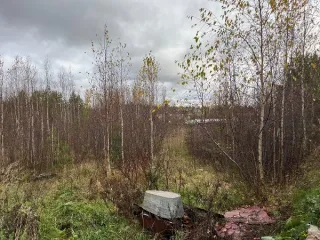 Право аренды земельного участка 86:15:0101026:1595, 1041 кв.м. Право на заключение договора аренды земельного участка. Аукцион в отношении земельного участка с КН 86:15:0101026:1595. Основной вид разрешенного использования: 2.1. Кадастровый номер земельного участка: 86:15:0101026:1595. Площадь…