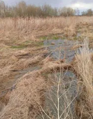 Земельный участок площадью 8042 кв.м. в Хабаровском крае, Амурский район, село Вознесенское. Кадастровый номер 27:01:0000038:1975. Категория земель — земли населенных пунктов. Вид разрешенного использования — ведение личного подсобного хозяйства на полевых участках.