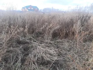 Земельный участок площадью 793 кв.м, ИЖС, Челябинская область, Пласт, ул. Багинская, с кадастровым номером 74:26:1104004:803, земельный участок 7А, площадь 793, ИЖС, адрес Российская Федерация, Челябинская область, город Пласт, улица Багинская, земельный участок 7А. Основной вид разрешенного…
