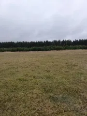 Земельный участок 2705 кв.м, ИЖС, село Эдемское, Камешковский округ, Владимирская область с кадастровым номером 33:06:062601:191, из земель населенных пунктов, площадью 2705 кв. м., расположенный по адресу: Владимирская область, муниципальный округ Камешковский, село Эдемское, улица 1-я Полевая…