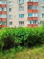 Квартира по адресу: Калужская обл, р-н Жуковский, г Кремёнки, ул Строителей, дом 6, кв. 2. Количество комнат 1, общая площадь 35,1 кв.м., этаж 1, кадастровый номер 40:07:180109:1851. Находится в залоге у АО «Альфа-Банк». Прописана должница, выпишется добровольно.