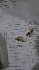 Пуговицы в пачках – 178 шт.; брелоки – 340 шт.; серьги – 31 шт.; бусы-557 шт.; браслеты-59 шт.; серьги-пуссеты-1755 шт., браслеты-39 шт., бусы-15 шт. Пуговицы в пачках – 178 шт.; брелоки – 340 шт.; серьги – 31 шт.; бусы-557 шт.; браслеты-59 шт.; серьги-пуссеты-1755 шт., браслеты-39 шт., бусы-15 шт…