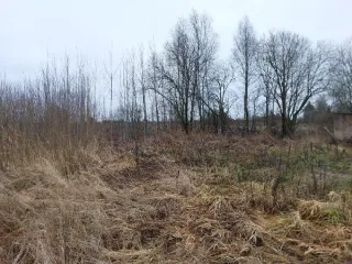 Земельный участок 1100 кв.м в Тверской области, земли населенных пунктов. Основной вид разрешенного использования: 6.0. Кадастровый номер: 69:13:0070202:136.