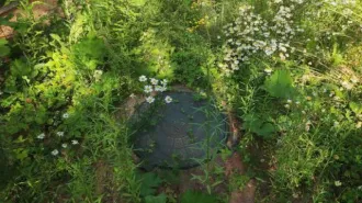 Жилой дом 148,8 кв.м, участок 1497 кв.м, Кировская область. Кадастровый номер дома: 43:30:380805:1951, земельного участка: 43:30:380805:309.