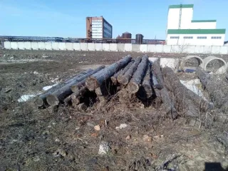 Древесина породы ель, 135 шестиметровых сортиментов, объем 40,61 м3 (куб.м).