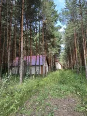 Земельный участок площадью 18203 кв.м с кадастровым номером 68:09:3902013:90 (РНФИ П11680005143) с расположенными на нем объектами недвижимого имущества: гараж площадью 68,9 кв.м с кадастровым номером 68:09:3902013:103 (РНФИ П12680064464), дом площадью 150 кв.м с кадастровым номером…