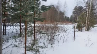 Земельный участок, площадь 1308 +/  12.65 кв. м., адрес  местонахождение : Россия, Свердловская область, г. Тавда, проезд Береговой, дом 17, кадастровый  условный  номер: 66:27:1101015:63