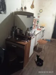 Жилое помещение 18 кв. м, Тамбовская область, кадастровый номер 68:29:0308060:687, площадь 18 кв. м, этаж №2, вид права: собственность, адрес: Тамбовская область, г Тамбов, ул. Академика Островитянова, д. 20, кв. 14, ком. 22. Общая площадь: 18. Расположение в пределах объекта недвижимости (этажа…