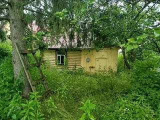 Земельный участок 600 кв.м, Челябинская обл., г. Миасс, Коллективный Сад Любитель тер, №13, кадастровый номер 74:34:2401001:13, размер доли в праве 1/2. Участок без координат границ, при регистрации сделки, покупателю необходимо будет провести процедуру межевания, имеется незарегистрированная…