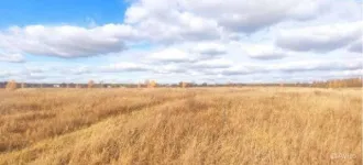 Земельный участок, площадь: 1 502кв.м., адрес (местонахождение): Свердловская обл., Красноуфимский р-н, п. Натальинск, ул. Ивахненко, д.16., кадастровый номер: 66:14:3401006:695 Ограничение прав и обременение объекта недвижимости: Ограничения прав на земельный участок, предусмотренные статьей 56…