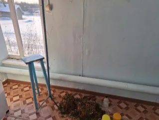 Здание ФАП 72,3 м², участок 1787 м², Пермский край. Здание ФАП, земельный участок, назначение: нежилое, количество этажей: 1, в том числе подземных 0, стены – рубленные, 1980 года постройки, площадью 72,3 кв.м., кадастровый номер 81:05:0890001:180; категория земель: земли населенных пунктов, вид…
