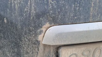 Nissan X-Trail 2007 автомобиль марки Nissan модель X-Trail 2007 г.в. VIN-номер JN1TANT31U0001131 Ознакомиться с имуществом можно по месту его нахождения предварительно согласовав время по тел. 89513689101