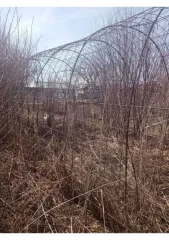 Земельные участки 500 кв.м, 500 кв.м, 500 кв.м в Челябинской области. Земельный участок, площадь: 500кв.м.,
адрес (местонахождение): Челябинская
область, р-н. Верхнеуральский, рп.
Межозерный, категория земель: Земли
населенных пунктов, разрешенное
использование: для садоводства и
огородничества…