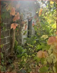 Доля дома и участка 25.6+500 кв.м в Саратовской области. 1/3 доля в праве на жилой дом, площадь 25.6 кв.м, кадастровый номер 64:03:120212:212, и 1/3 доля в праве на земельный участок, площадь 500 кв.м, кадастровый номер 64:03:120210:12. Категория земель: земли населенных пунктов. Вид разрешенного…