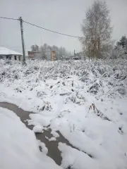 Земельный участок площадью 1500 кв.м с кадастровым номером 54:19:110501:209, расположенный по адресу: Новосибирская область, Новосибирский район, МО Станционный сельсовет, поселок Ленинский, улица Центральная, дом 45. Объект находится в залоге у ПАО Сбербанк.