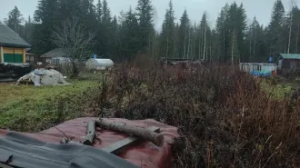 Земельный участок площадью 1100 кв.м. Земли населенных пунктов, сельскохозяйственного назначения. Расположен по адресу: Ленинградская область, Лодейнопольский муниципальный район, Алеховщинское сельское поселение, садоводческое товарищество "Новинка", участок № 338 (кадастровый номер…