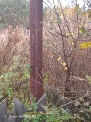 Жилой дом площадью 12,8 кв.м и земельный участок площадью 512 кв.м. Кадастровый номер дома: 66:27:1105001:330. Кадастровый номер участка: 66:27:1105001:23. Категория земель: земли населенных пунктов. Вид разрешенного использования: для садоводства.