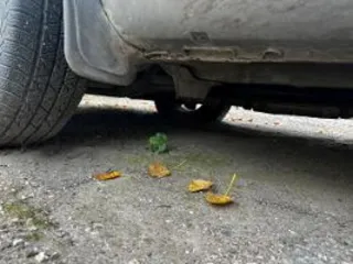 Kia Sportage 2006 года, государственный регистрационный знак С 152 КХ 02. Страна-производитель: Россия. VIN: KNEJE55157K313732. Год выпуска: 2006. Заводской номер машины (рамы): отсутствует. Номер двигателя: D4EA 6Н239977. Цвет: темно-серый. Паспорт транспортного средства (ПТС): 77 ТТ №849481 от…