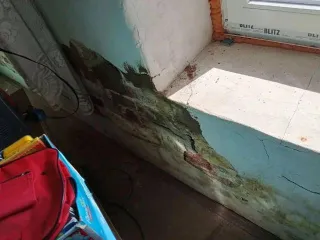 Доли в праве на жилой дом 53.8 кв.м и земельный участок 750 кв.м Рязанская обл 1/4 доля дома и 1/2 доля земельного участка в Рязанской обл. Земельный участок, площадь 750 кв.м., адрес (местонахождение): 391234, Рязанская обл, Кораблинский р-н, деревня Октябрь, ул Октябрьская, д 59, кадастровый…