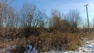 Комплекс недвижимости, 4 746,4 кв. м, Свердловская область. Здание склада технических материалов (216,5 кв. м, кад. № 66:56:0116002:1915), здание шпалотарного цеха (972,8 кв. м, кад. № 66:56:0116002:1925), здание РММ (346,5 кв. м, кад. № 66:56:0116002:1911), здание котельной (79,2 кв. м, кад. №…