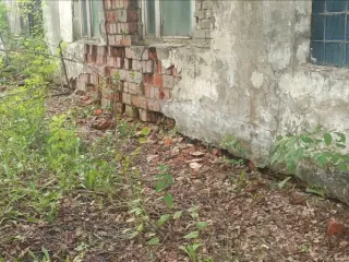 Здание корпуса №6, кадастровый номер 13:23:1002044:545, адрес местонахождения: РМ, г.Саранск, ул.Лодыгина, д.5, стр.5. Объект незавершенного строительства, кадастровый номер 13:23:1002044:528, адрес местонахождения: Республика Мордовия, г. Саранск, ул. Светотехники, д. 5. Пристрой к корпусу №6…