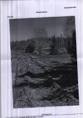 Древесина 507.5 куб.м в Пермском крае. Количество, породный и сортиментный состав древесины (вся древесина - хлысты): береза – 58.3 куб.м., ель – 34.5 куб.м., липа – 252.8 куб.м., осина – 57.9 куб.м., вяз – 10.9 куб.м., ильм – 2.5 куб.м., ольха с. – 0.2 куб.м., пихта – 51.1 куб.м., сосна – 23.4…