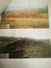 Древесина береза, осина, ель, ольха. Береза – 137,7 куб.м (деловая: крупная – 1,7 куб.м, средняя – 11,9 куб.м, мелкая – 0,5 куб.м, дровяная – 123,6 куб.м), осина – 181,8 куб.м (дровяная – 181,8 куб.м), ель – 95,2 куб.м (деловая: крупная – 1,2 куб.м, средняя – 17 куб.м, мелкая – 4,2 куб.м, дровяная…