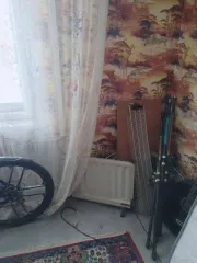 Доля в жилом помещении 12 кв.м, г. Железногорск, Курская обл. 1/5 доля комнаты в Железногорске еще 1/5 доля комнаты в Железногорске еще 1/5 доля в помещении, площадь 12 кв.м., назначение: жилое, этаж: 9, адрес (местонахождение): Курская область, г. Железногорск, ул. Гагарина, дом 14, квартира 9…