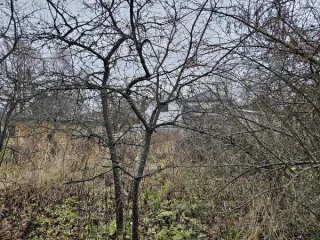 Жилой дом 94,6 кв. м, земельный участок 762 кв. м, Москва, Зеленоград, ул. Садовая, д. 13. Общая площадь дома 94,6 кв. м, кадастровый номер 77:10:0007001:1220. Земельный участок площадью 762 кв. м, кадастровый номер 77:10:0007001:8920. Количество этажей: 2. Назначение здания: Жилое.