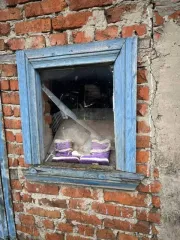 Гаражи 27,3 кв.м с земельными участками 30 кв.м, Рязанская область. Гараж 27,3 кв.м. и земельный участок 30 кв.м. в Рязанской обл. еще Гараж 27,3 кв.м. и земельный участок 30 кв.м. в Рязанской обл. еще сооружение (гараж) по адресу: Рязанская обл., муниципальный округ Кадомский, рабочий поселок…