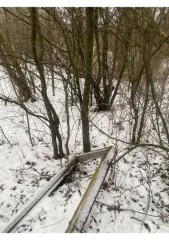 Нежилое здание 52,6 кв.м и участок 1569 кв.м, Тамбовская обл. Нежилое здание, площадь: 52,6кв.м., кадастровый номер: 68:20:3618002:36 и земельный участок, площадь: 1 569кв.м., категория земель: Земли сельскохозяйственного назначения, разрешенное использование: для садоводства, кадастровый номер…