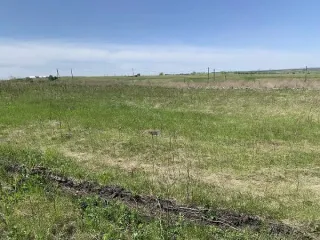 Земельный участок, площадью 1200+/-303 кв.м., кад. №24:04:0501003:874, расположенный по адресу: Красноярский край, м.о. Сосновоборский, с. Зыково, ул. Новаторская, з/у19. Обременения: Арест, запреты на рег. действия. Задаток 49000,00 руб. Основной вид разрешенного использования: 2.0 Кадастровый…