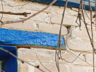 Дом 66,4 кв.м. и земельный участок 1551+/-14 кв.м. в Республике Калмыкия, в составе: 1) земельный участок, кадастровый номер 08:04:200102:107, площадью 1551+/-14 кв.м., земли населенных пунктов, вид разрешенного использования: для ведения личного подсобного хозяйства, адрес: местоположение…