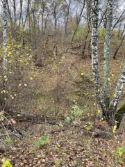 Земельный участок площадью 962 +/- 11 кв. м, категория земель: земли сельскохозяйственного назначения, разрешенное использование: для ведения садоводства, расположенный по адресу: Московская область, Каширский район, ТОО "Каширское", с кадастровым номером: 50:37:0010202:485. Цена: 108810,00 руб.